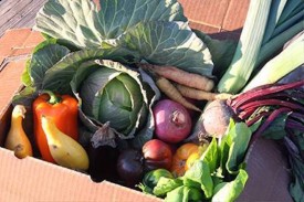 2022 LFL Farmers Market 2022 LFL Farmers Market